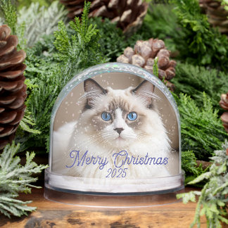 Cute Pet Cat Photo Merry Christmas Personalize Snowglobe
