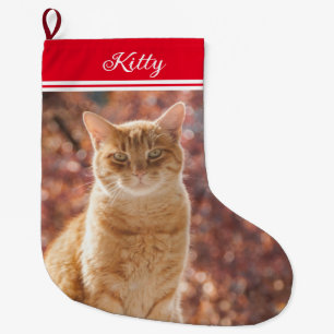 cute Pet Christmas Cat Photo Small  Large Christmas Stocking
