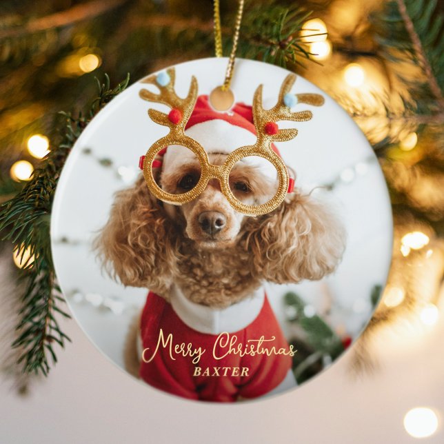 Cute Pet Christmas Photo Naughty Dog Funny Puppy Ceramic Tree Decoration (Cute Pet Christmas Photo Naughty Dog Funny Puppy Ceramic Ornament)