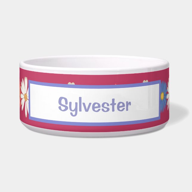 Cute Pet Dishes (Front)