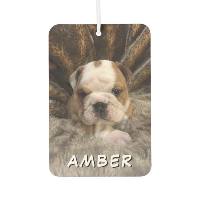 Cute Pet Dog Cat Name Custom Photo Car Air Freshener (Front)