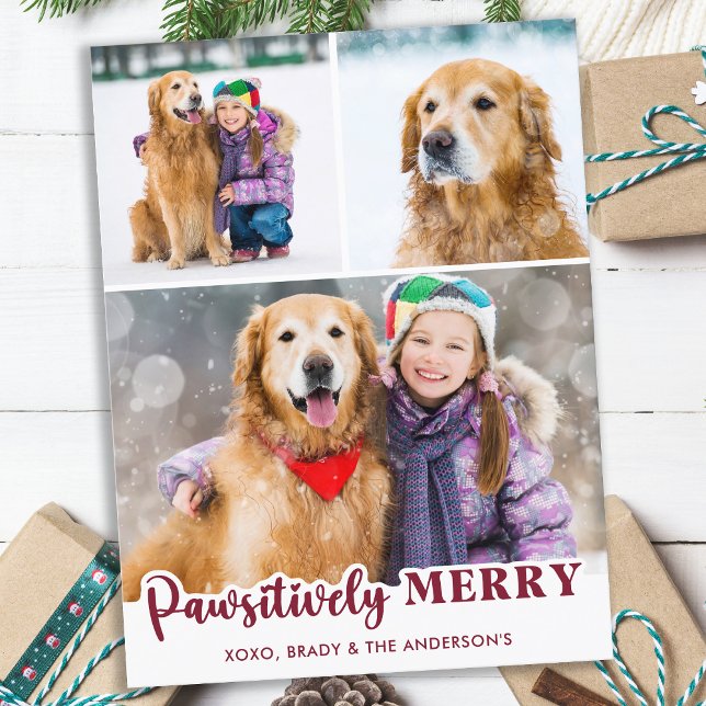 Cute Pet Dog Photo Collage Pawsitively Merry      Holiday Postcard (Creator Uploaded)