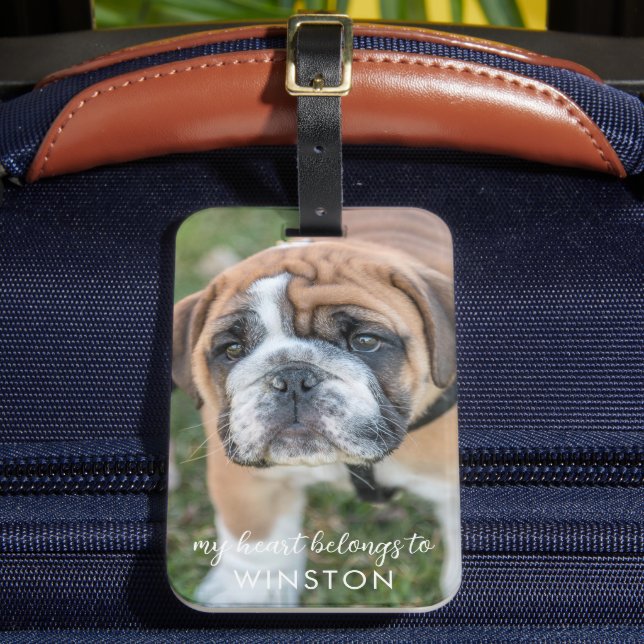 Cute Pet Dog Photo Personalised Luggage Tag (Front Insitu 2)