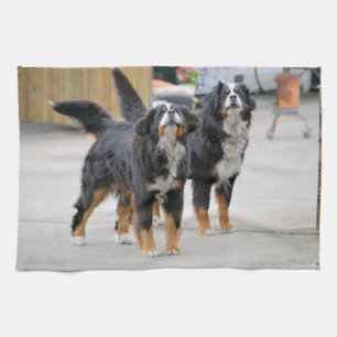Cute Pet Dog Tea Towel