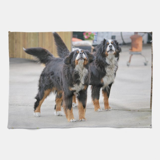 Cute Pet Dog Tea Towel (Horizontal)