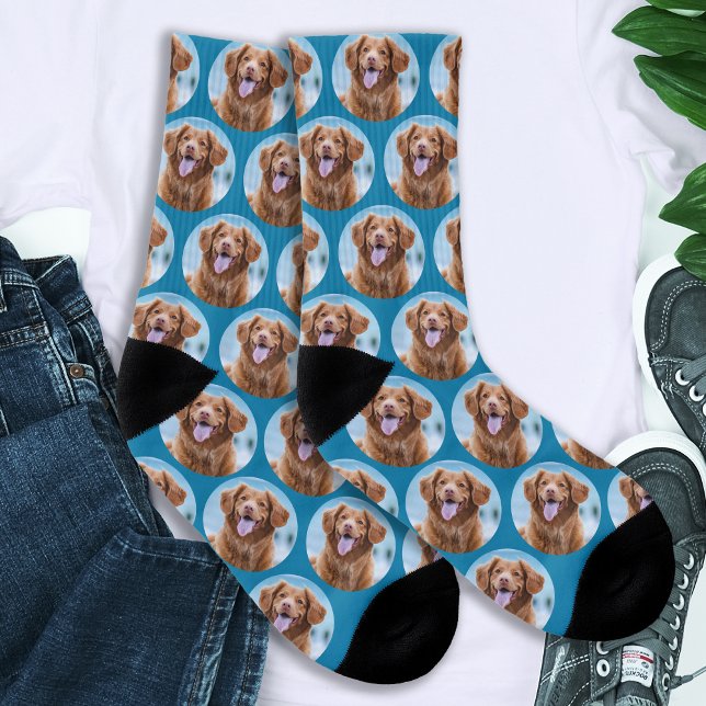 Cute Pet Dog Teal Blue Photo Socks (Creator Uploaded)