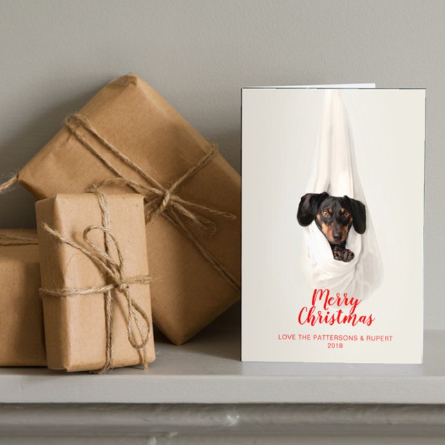 Cute Pet Family Puppy Dog Christmas Photo Card (Creator Uploaded)
