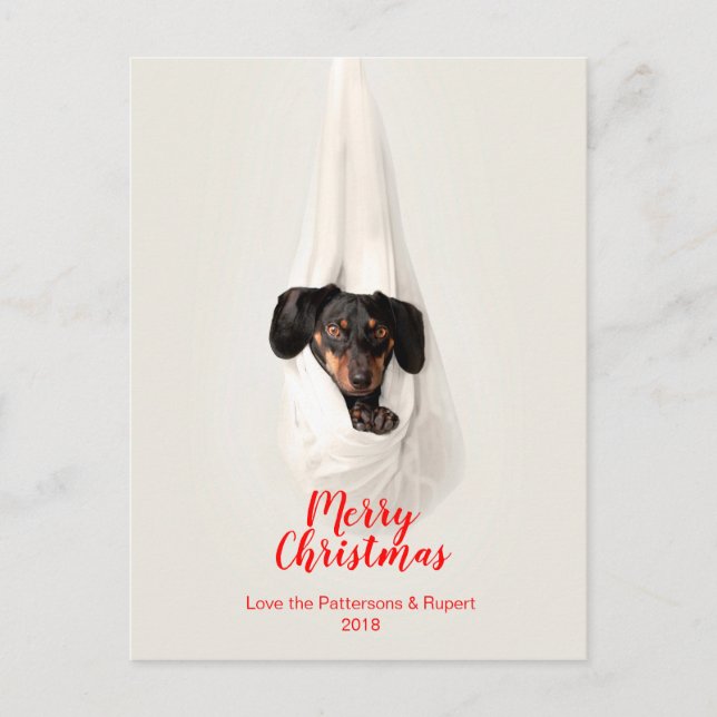 Cute Pet Family Puppy Dog Christmas Photo Holiday Postcard (Front)