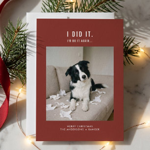 Cute Pet Funny Dog Photo Christmas Holiday Card
