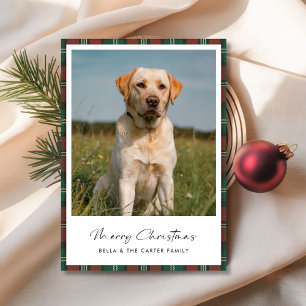 Cute Pet Funny Dog Photo Plaid Christmas Card
