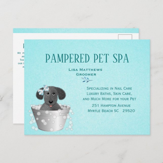 Cute Pet Groomer Budget Marketing  Postcard (Front/Back)