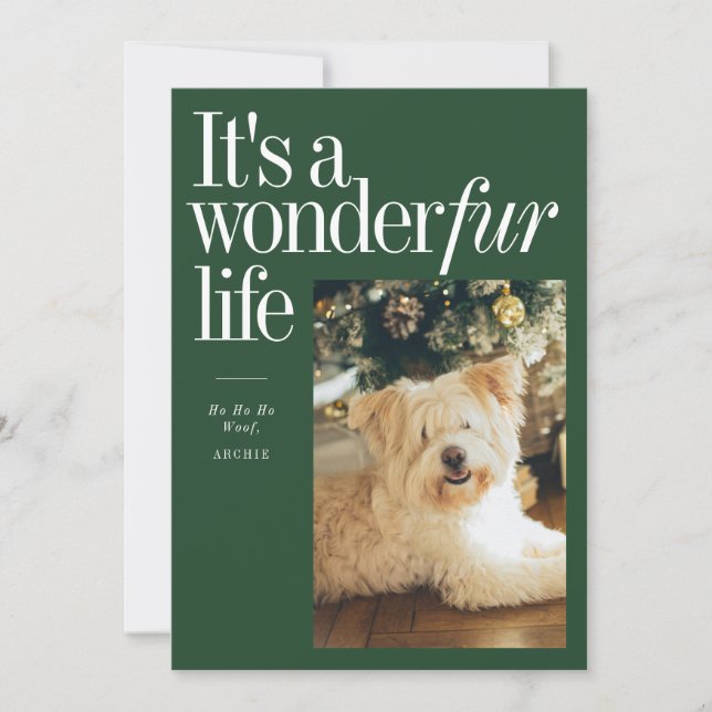 Cute Pet It's A Wonderfur Life Christmas Photo Holiday Card (Front)