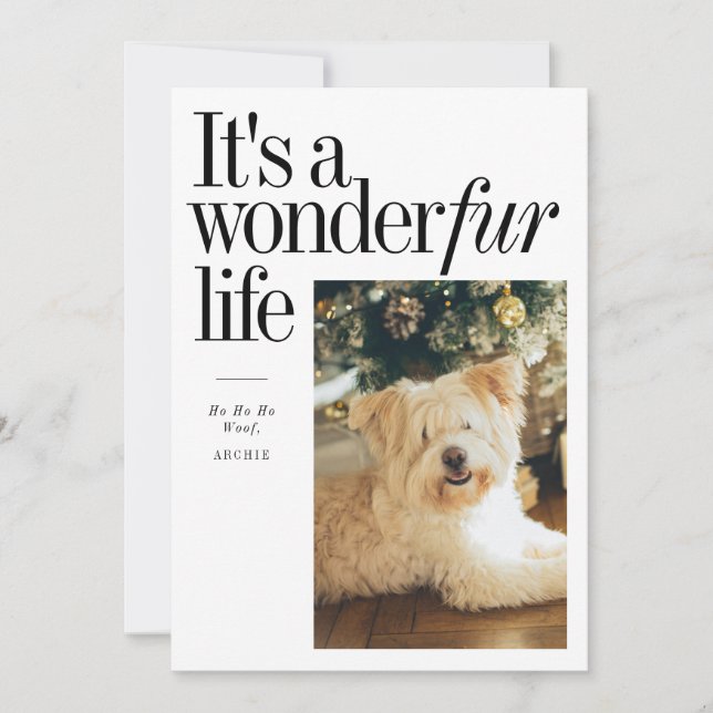 Cute Pet It's A Wonderfur LifeChristmas Photo Holiday Card (Front)