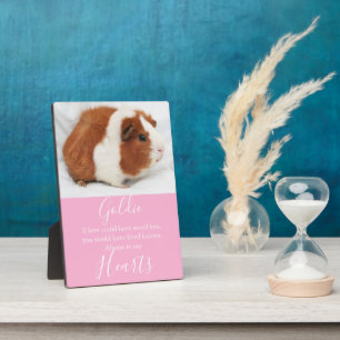 Cute Pet Memorial Plaque