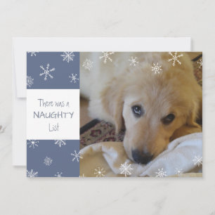 Cute Pet Naughty or Nice Snowflake Blue Holiday Card