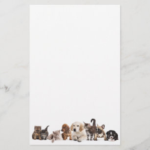 Cute Pet Panorama Stationery Paper