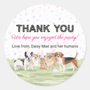 Cute Pet Pawty Pink Custom Dog Birthday Party Classic Round Sticker