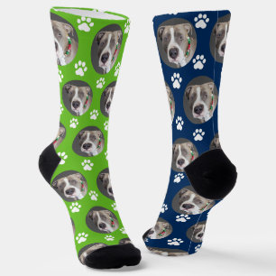 Cute Pet Photo 2 Colour Sporty Green Blue  Socks