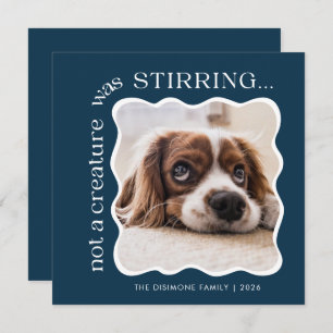 Cute Pet Photo Blue Christmas Holiday Card