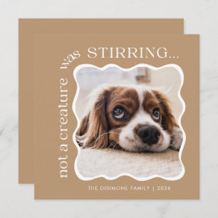 Cute Pet Photo Christmas Holiday Card
