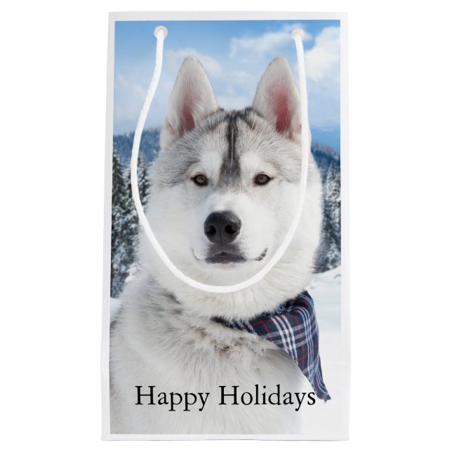 Cute Pet Photo Christmas  Small Gift Bag (Front)
