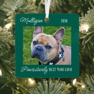Cute Pet Photo Dog Lover Quarantine Christmas Metal Tree Decoration