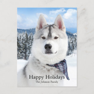 Cute Pet Photo Flat Holiday Card