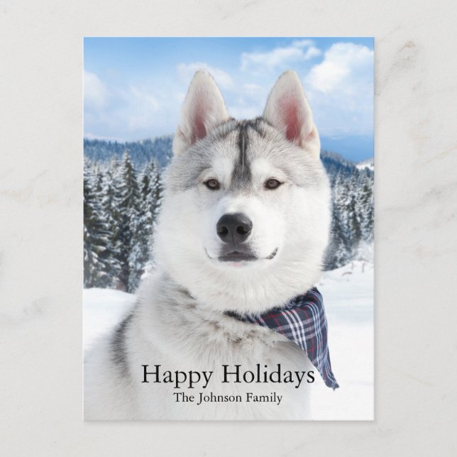 Cute Pet Photo Flat Holiday Card (Front)