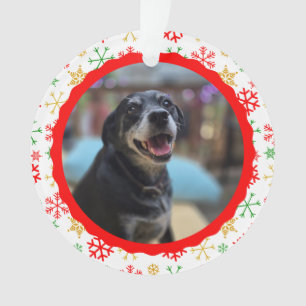 Cute Pet Photo, For Our Favorite Mailman Christmas Ornament