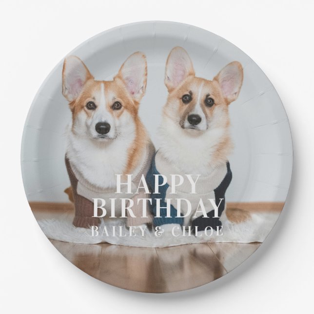 Cute Pet Photo Happy Birthday Party Paper Plate (Front)