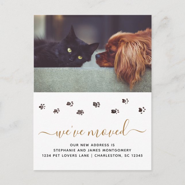 Cute Pet Photo Personalised Moving Announcement Postcard (Front)