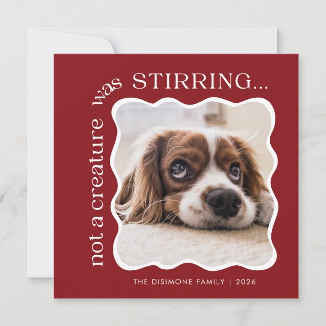 Cute Pet Photo Red Christmas Holiday Card (Front)