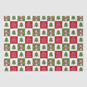 Cute Pet Photo Red Green Christmas Tree Your Name Tissue Paper