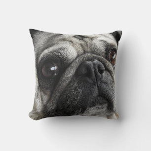 Cute Pet PUG face photo- adorable Cushion