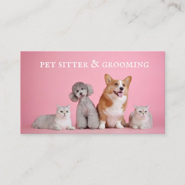 Cute Pet Sitter Dog Grooming Business Card (Front)