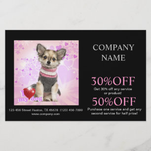 Cute pet sitter pet groomer dog daycare flyer