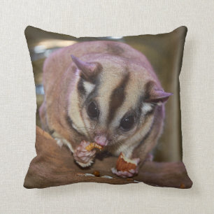 Cute Pet Sugar Glider Eating Cushion
