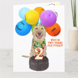 Cute Pet Two Year Birthday Card