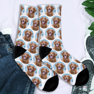Cute Pet White Dog Photo Socks