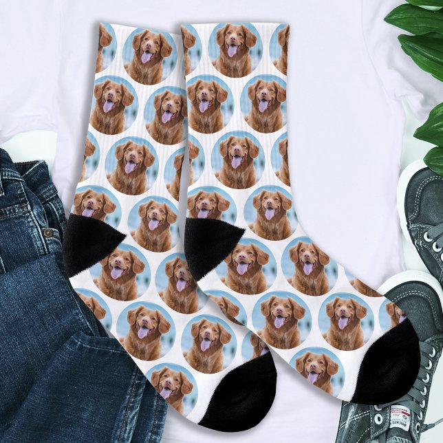 Cute Pet White Dog Photo Socks (Creator Uploaded)