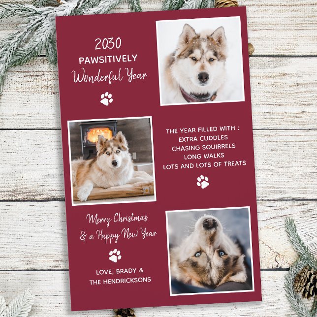 Cute Pet Year in Review Custom Dog 3 Photo Holiday (Creator Uploaded)