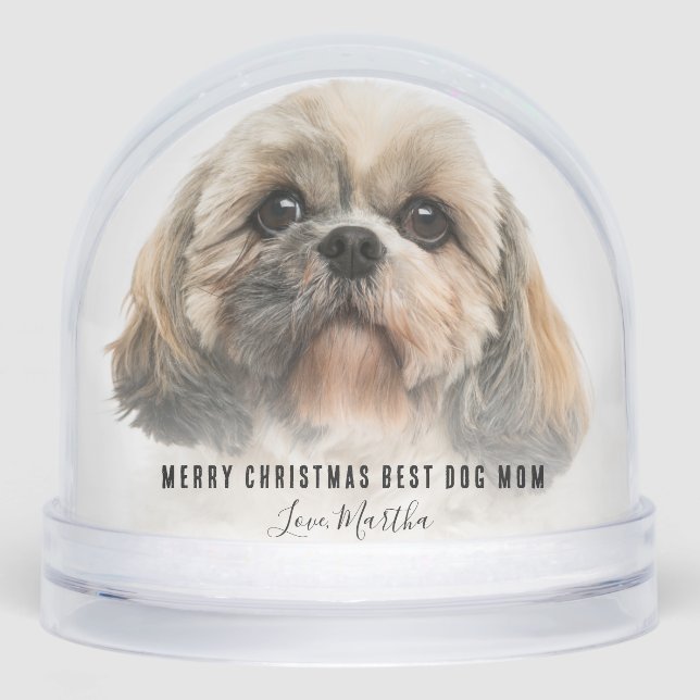 Cute Pets Photos Merry Christmas Snowglobe (Front)
