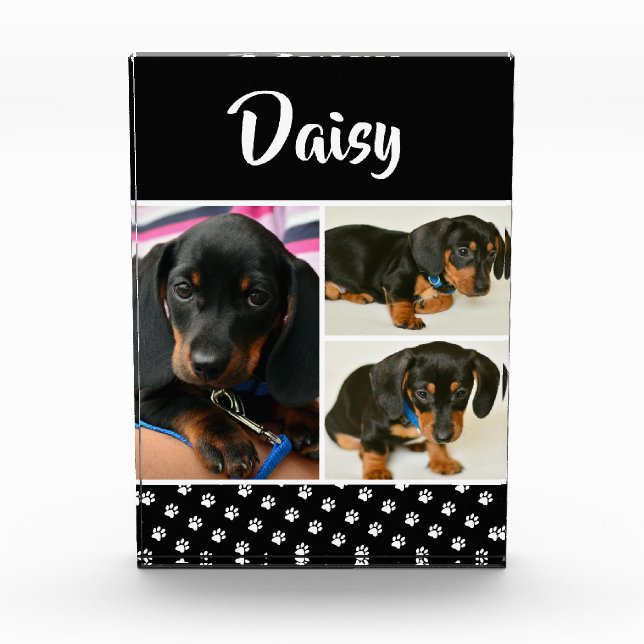 Cute Photo Collage Pet Dog Name Block (Front)