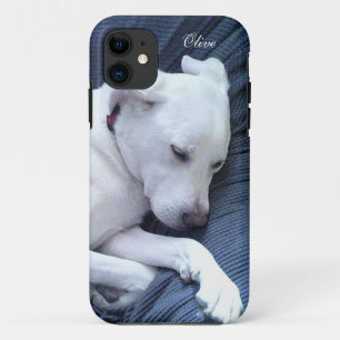 Cute Photo of Sweet White Labrador Mix Dog Napping iPhone 11 Case