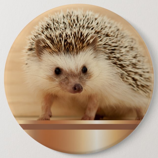 Cute Photographic Hedgehog Button Pin (Front)