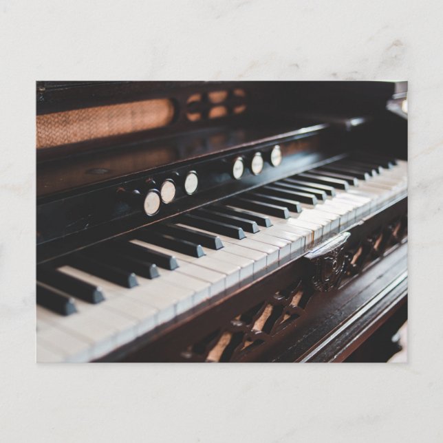 Cute Piano Design Postcard (Front)