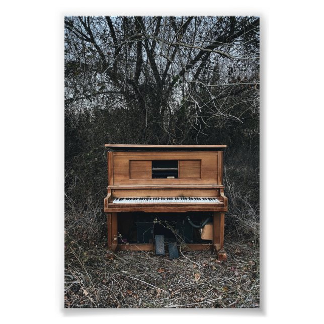 Cute Piano Photo Print (Front)