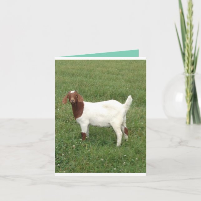 Cute pick me up note card (Front)