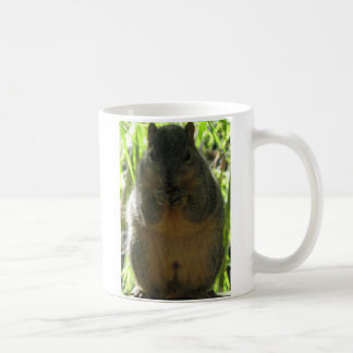 Cute picture of a little squirrel eating a nut coffee mug