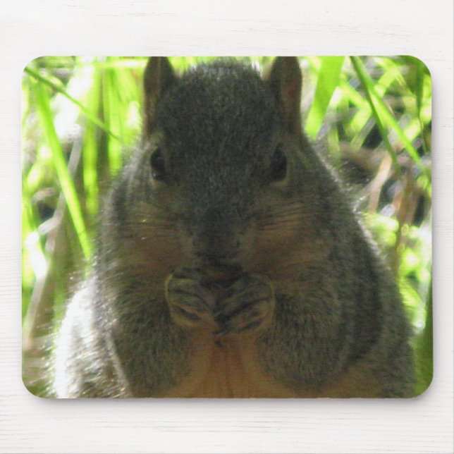 Cute picture of a little squirrel eating a nut mouse mat (Front)